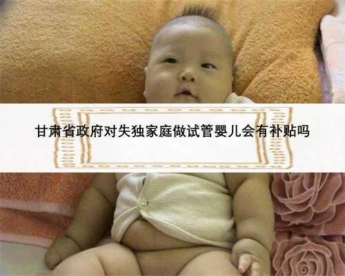 甘肃省政府对失独家庭做试管婴儿会有补贴吗
